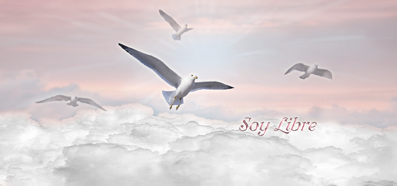 Soy Libre Pink Clouds